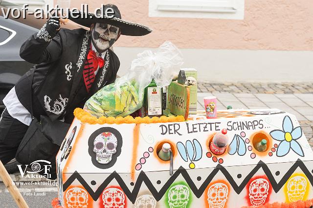 Foto Laudi_faschingszug_pleinting-130.jpg